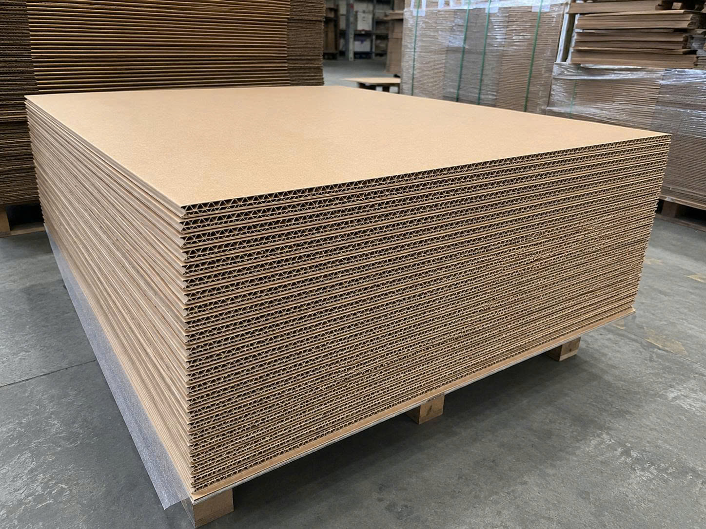 Tấm carton