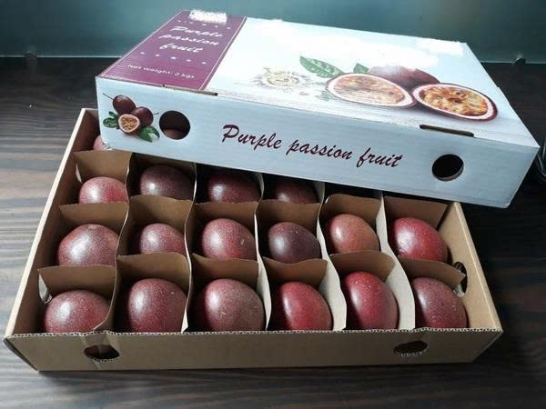 Thùng Carton đựng hoa quả